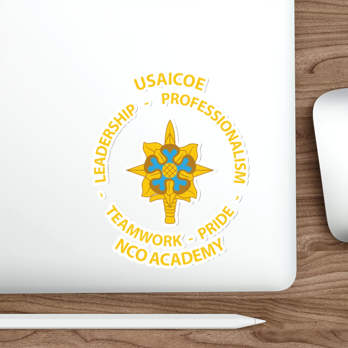 USAICOE NCOA Slaps