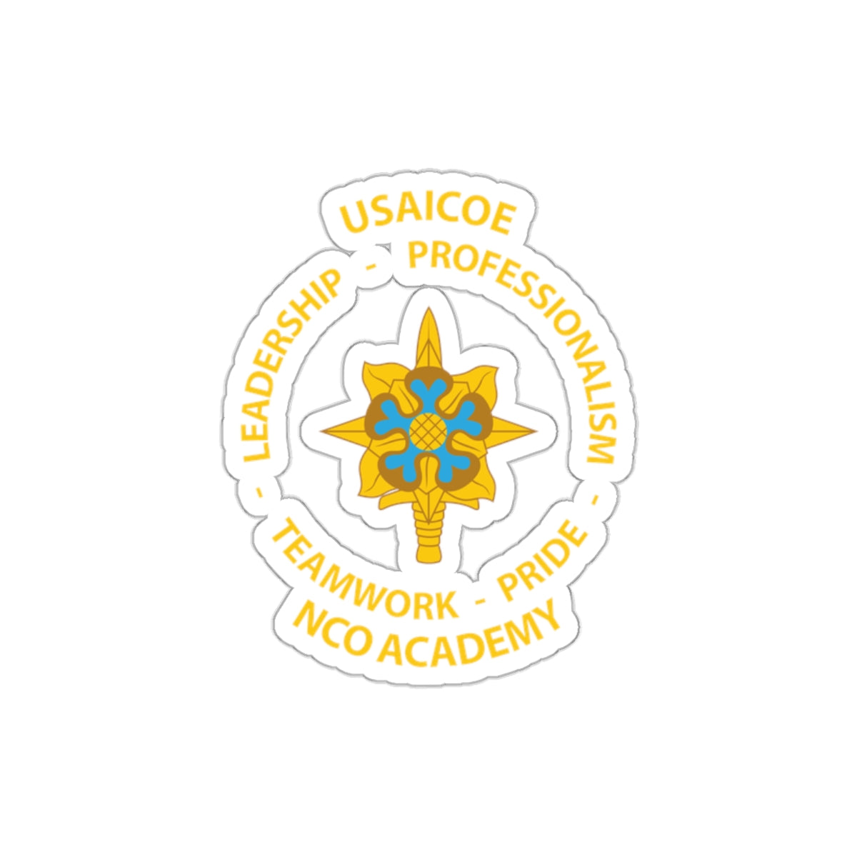USAICOE NCOA Slaps