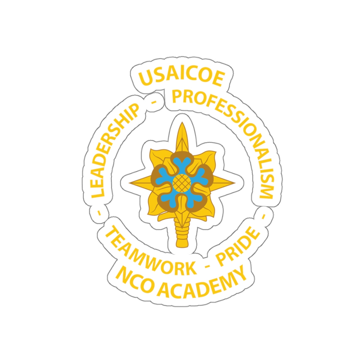 USAICOE NCOA Slaps