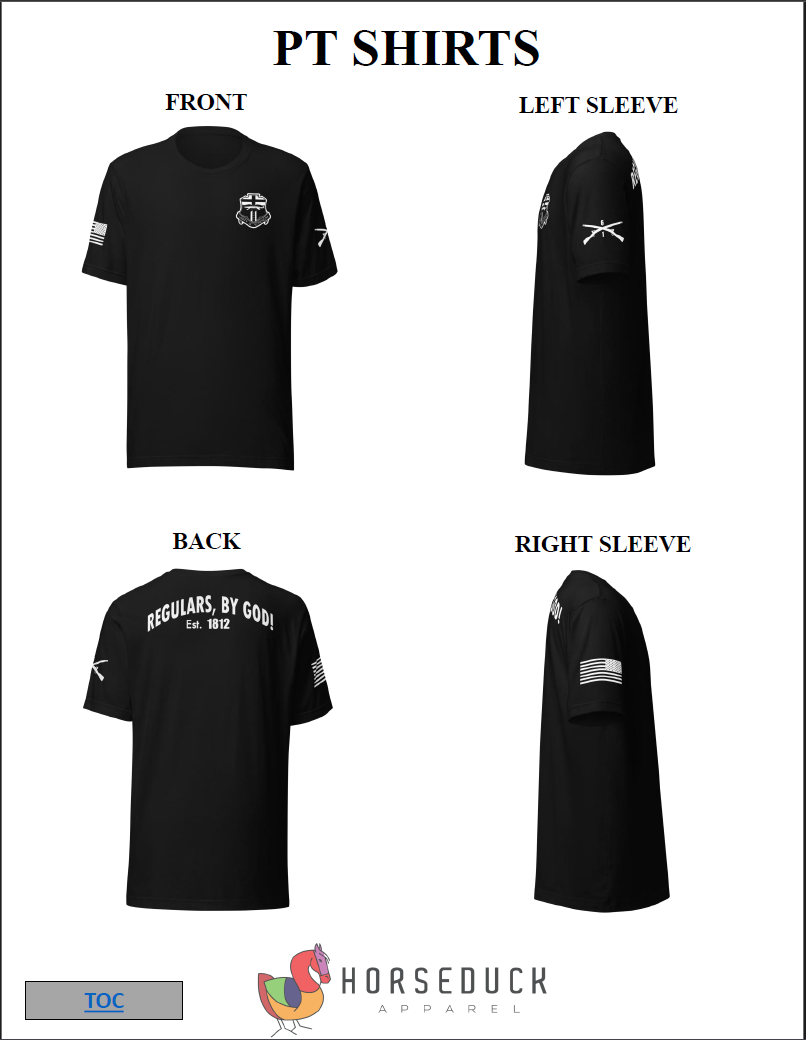 WS: Regulars - PT Shirt (36-71 Count)