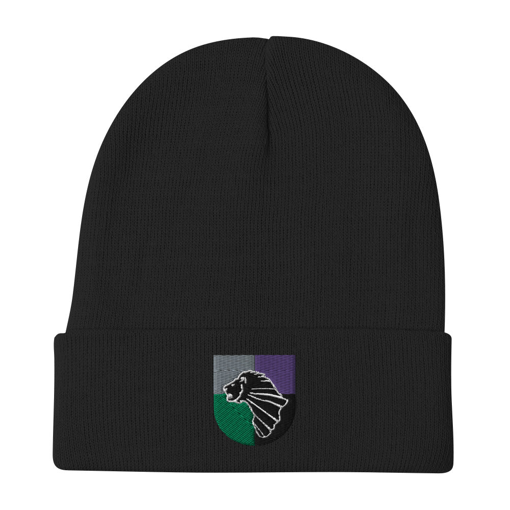 91 CA BN Embroidered Beanie